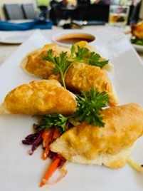 Chicken Pot Stickers 