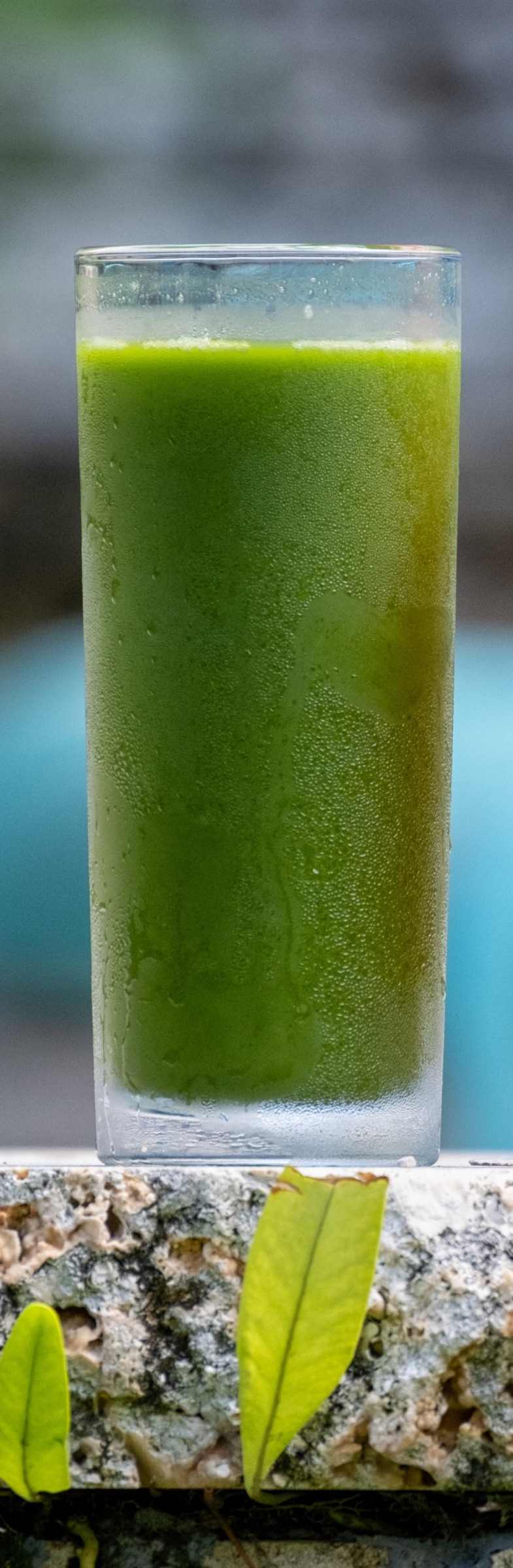 GREEN CHARGE COLD-PRESSED JUICE