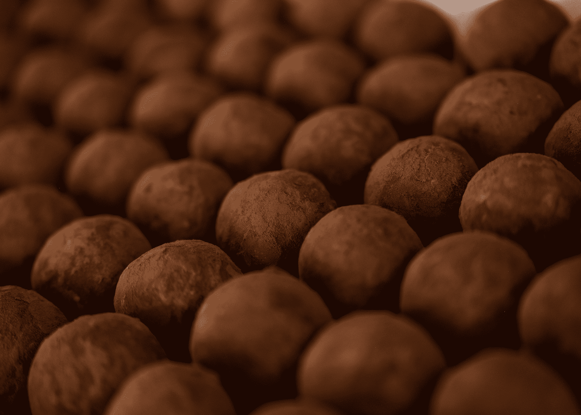  CHOCO + ORANGE TRUFFLE (GF)