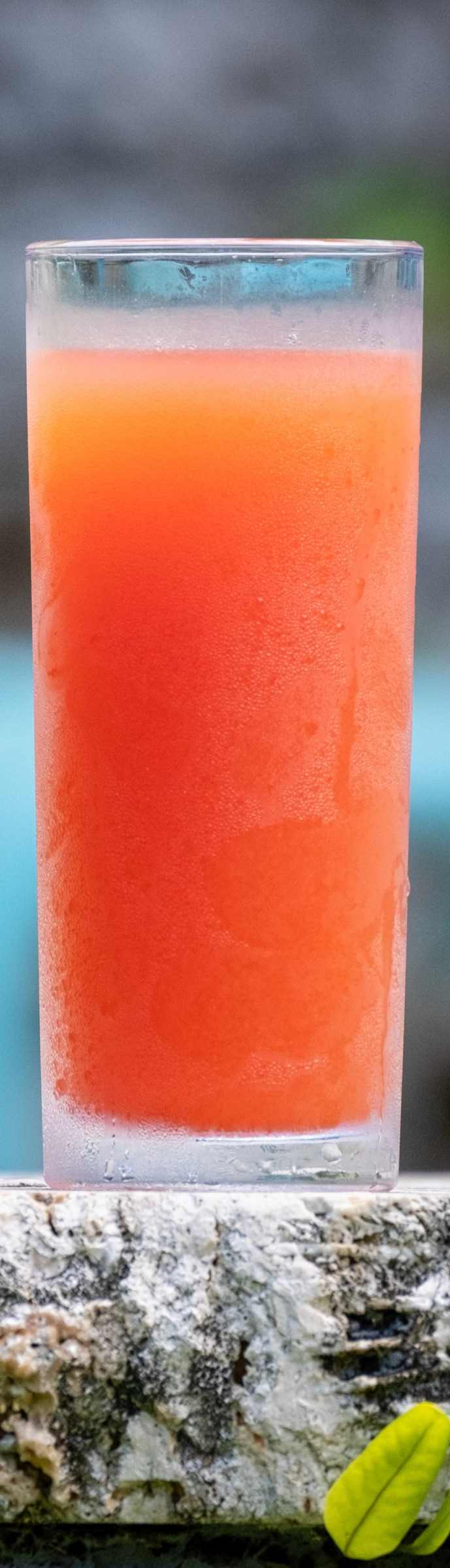 WATERMELON APPLE MINT COLD-PRESSED JUICE
