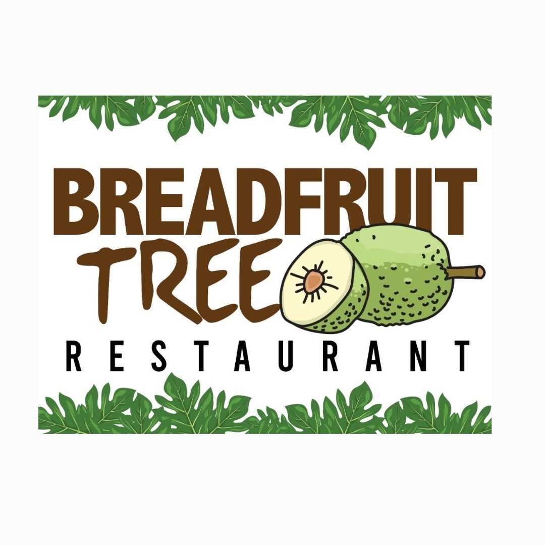 Bread Fruit Tree