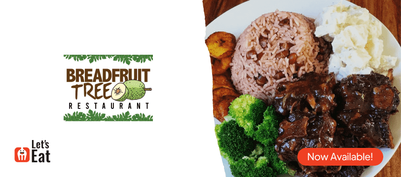 Bread Fruit Tree Bread Fruit Tree